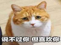 南京优旺胜商贸有限公司