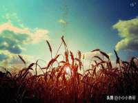 南京优旺胜商贸有限公司