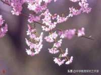 南京优旺胜商贸有限公司