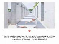 南京优旺胜商贸有限公司