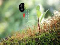 南京优旺胜商贸有限公司