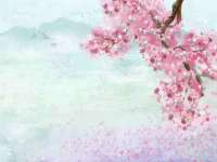 南京优旺胜商贸有限公司