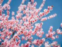 南京优旺胜商贸有限公司