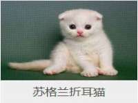 南京优旺胜商贸有限公司