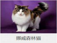 南京优旺胜商贸有限公司