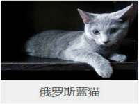 南京优旺胜商贸有限公司