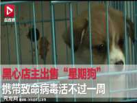 南京优旺胜商贸有限公司