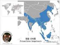 南京优旺胜商贸有限公司