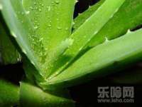 南京优旺胜商贸有限公司