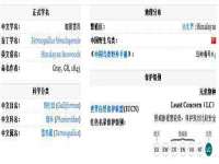 南京优旺胜商贸有限公司