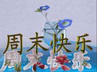 南京优旺胜商贸有限公司