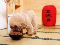 南京优旺胜商贸有限公司