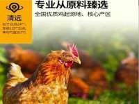 南京优旺胜商贸有限公司