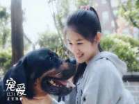 南京优旺胜商贸有限公司