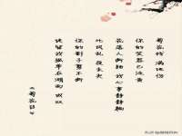南京优旺胜商贸有限公司