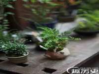 南京优旺胜商贸有限公司