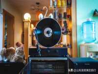 南京优旺胜商贸有限公司
