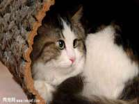 南京优旺胜商贸有限公司