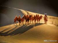 南京优旺胜商贸有限公司