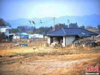 南京优旺胜商贸有限公司