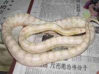 南京优旺胜商贸有限公司