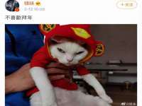 南京优旺胜商贸有限公司